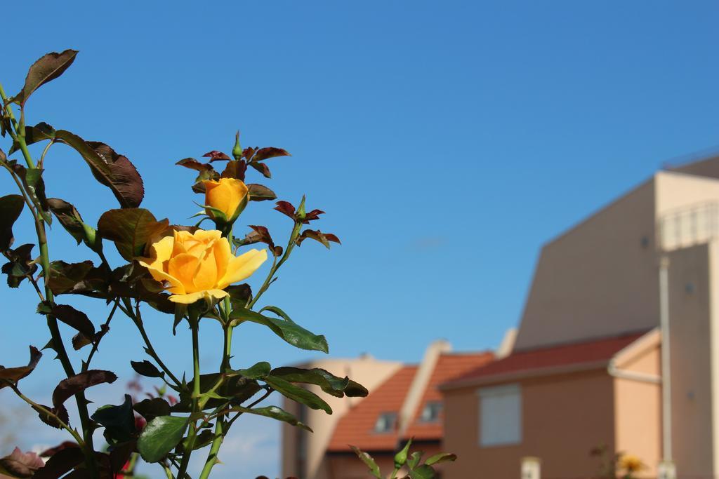 Hotel Hera Sozopol Exterior foto